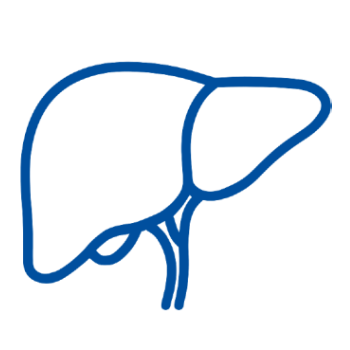 Ambulatorio Epatologia