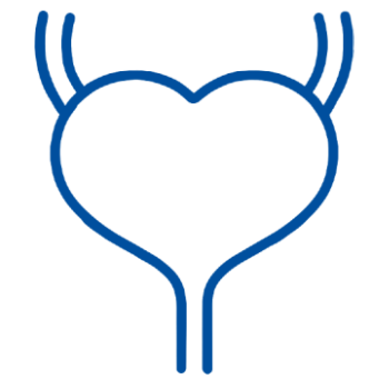 Ambulatorio Urologia